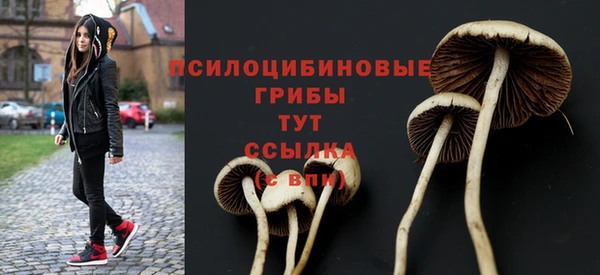 стаф Верхнеуральск