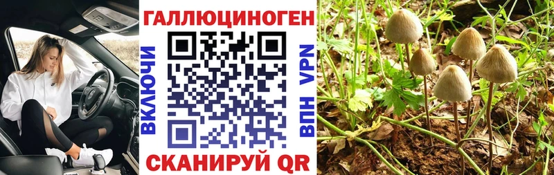 KRAKEN как войти  Тверь  Галлюциногенные грибы Psilocybine cubensis  магазин  наркотиков 